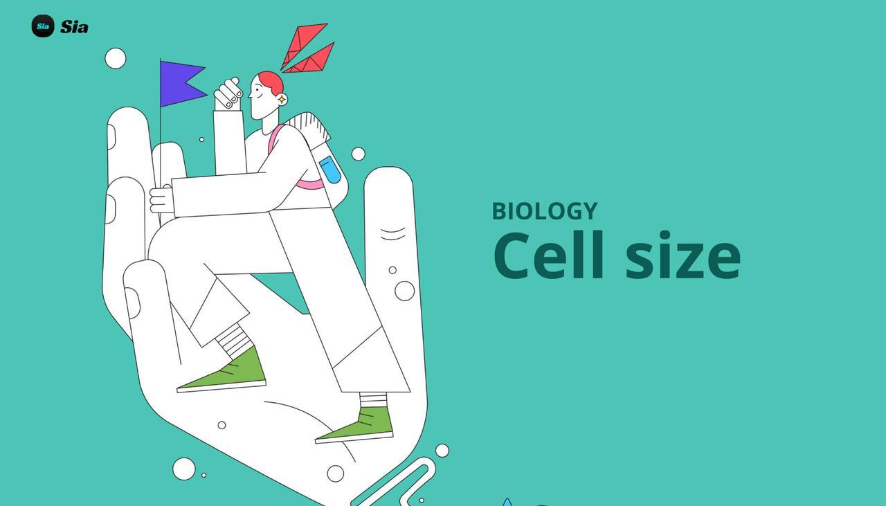 Cover Image for Cell Size: Understanding the Limits and Functions